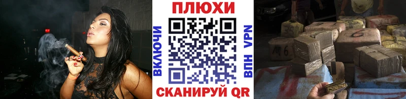 Гашиш Cannabis  Можга 